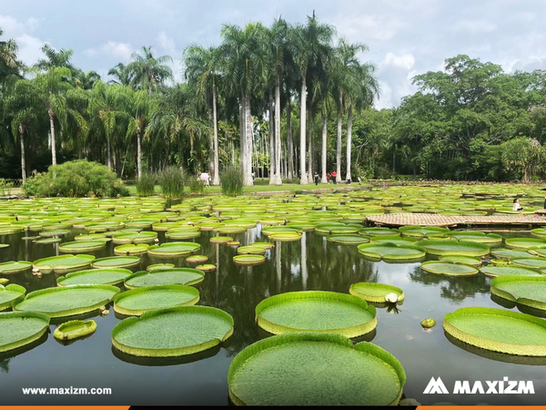 MAXIZM'S Fun Trip to Xishuangbanna